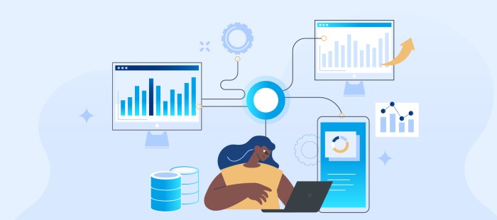 Establishing a Centralized Data Program For a Leading D2C Company